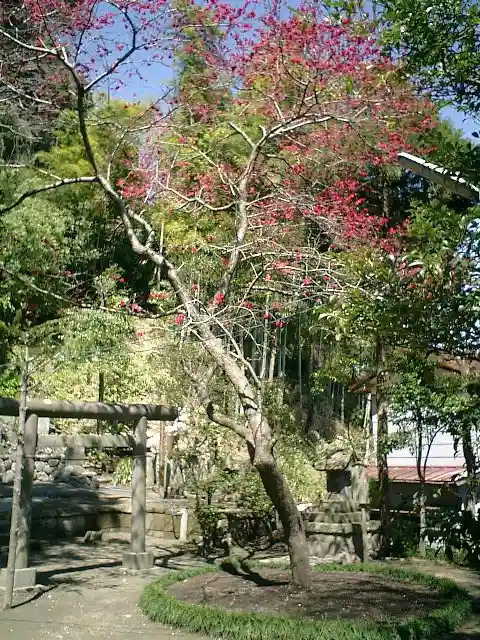 御霊神社の庭園