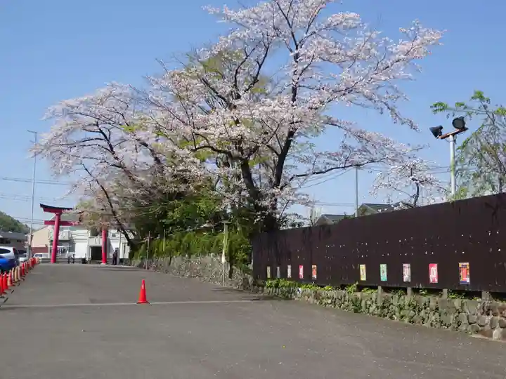 白笹稲荷神社の自然