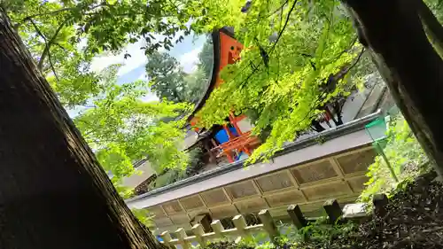 出雲大神宮のその他建物