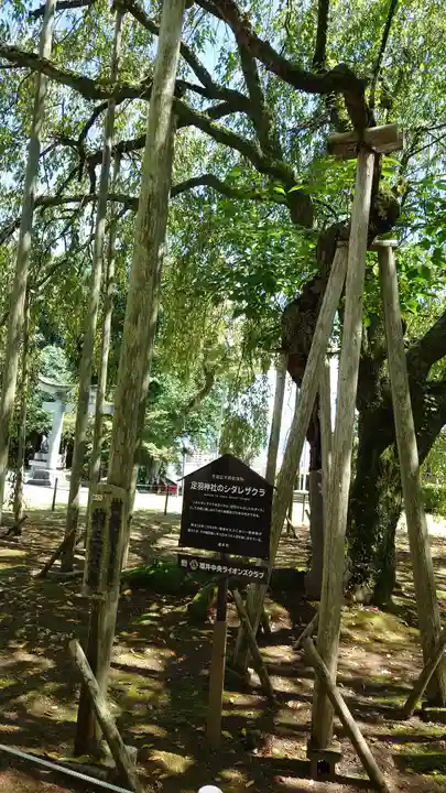 足羽神社(福井県)