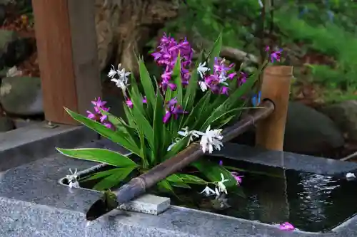 高司神社〜むすびの神の鎮まる社〜の手水舎