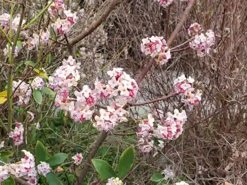 鍬渓神社の自然
