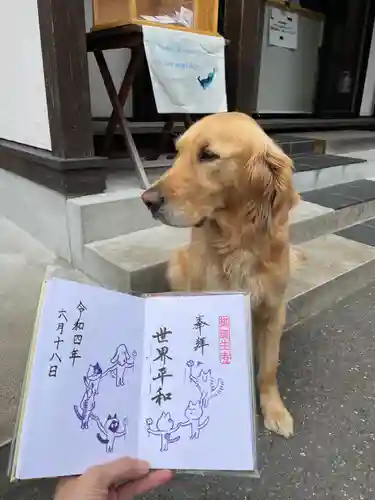 御誕生寺（猫寺）の御朱印