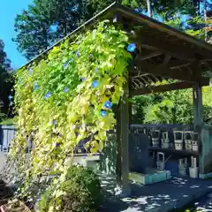 崇禅寺の建物その他