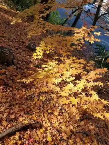 神炊館神社 ⁂奥州須賀川総鎮守⁂(福島県)