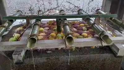 多賀大社(滋賀県)