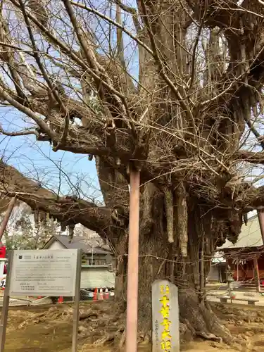千葉寺のその他建物