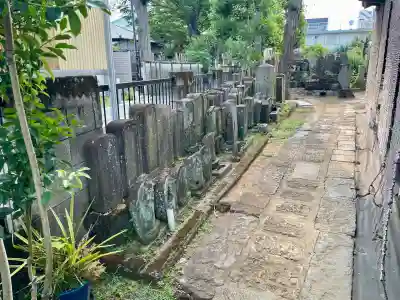 洞雲寺(東京都)