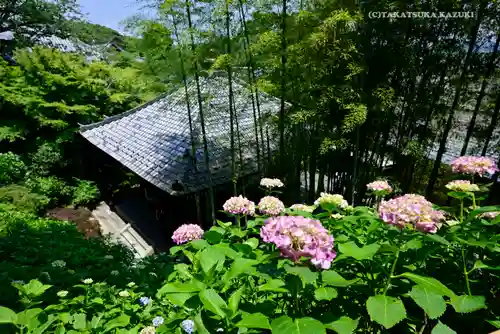 長谷寺の景色