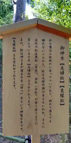 自由が丘熊野神社の歴史