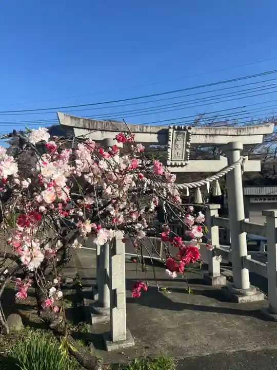 厄王大権現(山梨県)