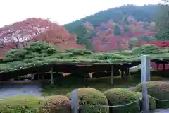 善峯寺(京都府)