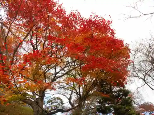 善峯寺(京都府)