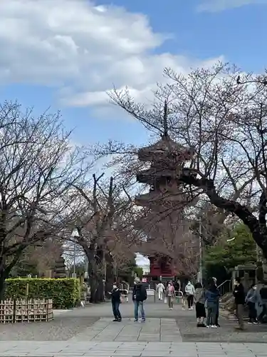 池上本門寺の塔