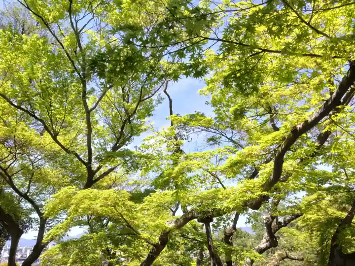 知恩院の{uncategorized: "未分類", other: "その他", undefined: "問題あり", building: "その他建物", grave: "お墓", sacred_gate: "鳥居", guardian: "狛犬", statue: "像", buddha: "仏像", history: "歴史", nature: "自然", garden: "庭園", animal: "動物", pagoda: "塔", temizu: "手水舎", mountain_gate: "山門・神門", sanctuary: "本殿・本堂", subordinate: "末社・摂社", art: "芸術", scenery: "景色", jizo: "地蔵", ema: "絵馬", goshuin: "御朱印", omikuji: "おみくじ", items: "授与品その他", amulet: "お守り", goshuincho: "御朱印帳", eats: "食事", festival: "お祭り", votive_dance: "神楽", shichigosan: "七五三参", wedding: "結婚式", experience: "体験その他", initially: "初詣", around: "周辺", anti_infection: "感染症対策"}