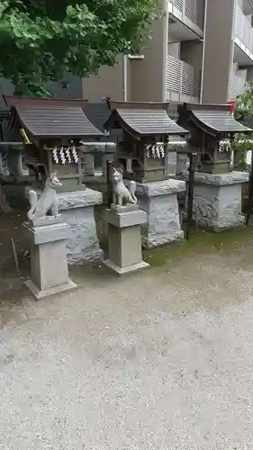 白髭神社の狛犬