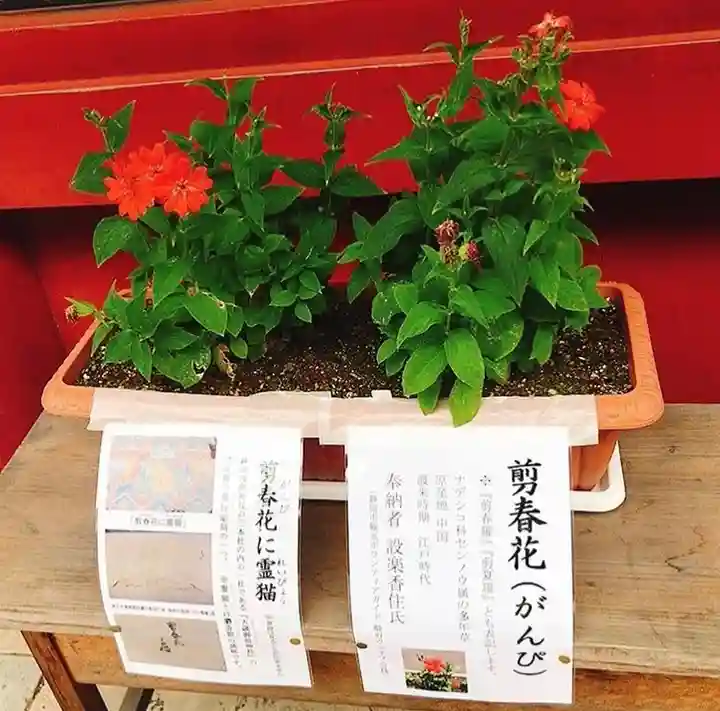静岡浅間神社の自然