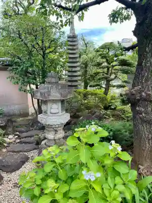 円光院(東京都)