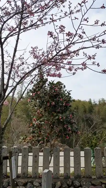 大歳神社(京都府)