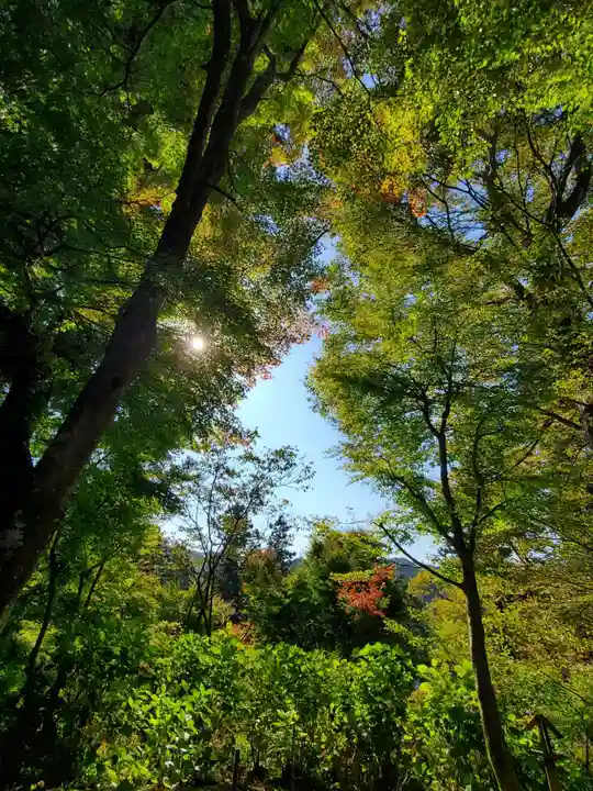 石都々古和気神社(福島県)
