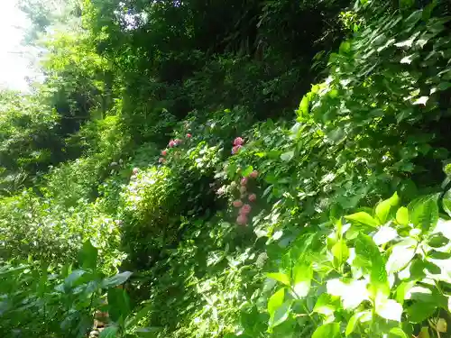 御霊神社の自然