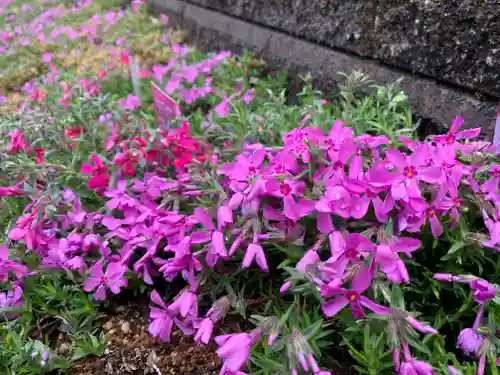 普門寺(切り絵御朱印発祥の寺)(愛知県)