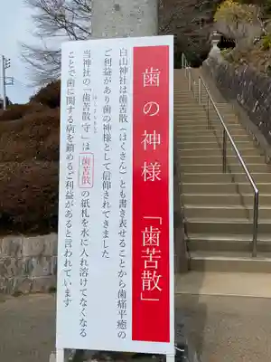 白山神社の歴史
