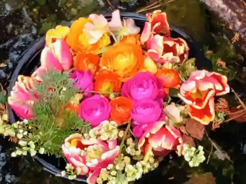 武蔵一宮氷川神社(埼玉県)