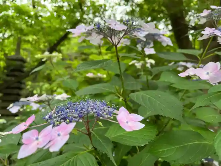 石清水八幡宮(京都府)