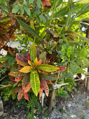 波上宮(沖縄県)