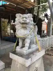 尾浜八幡神社の狛犬