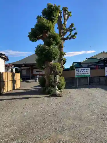 千手院(神奈川県)