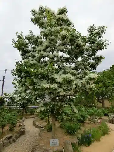 當麻寺西南院の庭園