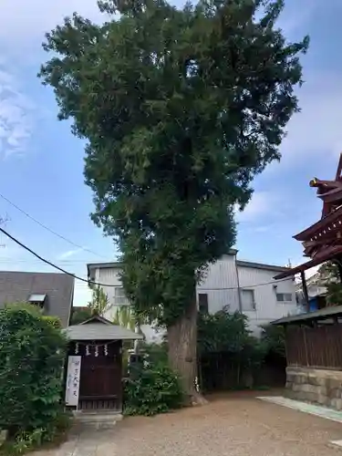 健田須賀神社の自然