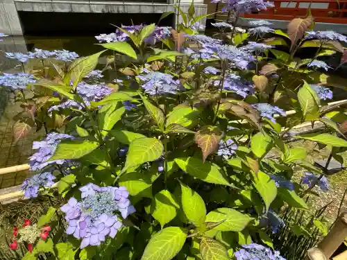 頂法寺（六角堂）(京都府)