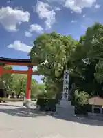 宇佐神宮(大分県)