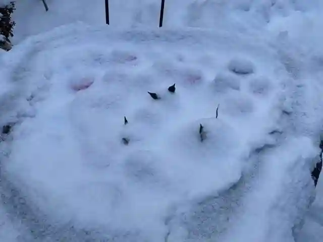 彌彦神社 (伊夜日子神社)の手水舎