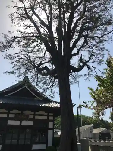 観音寺のその他建物