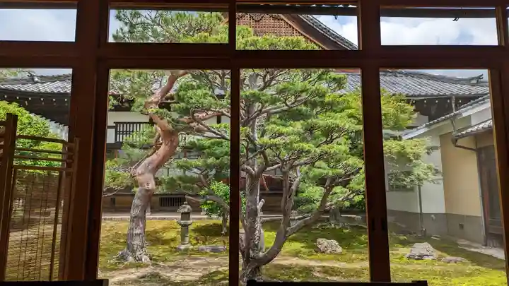 妙覺寺(妙覚寺)(京都府)