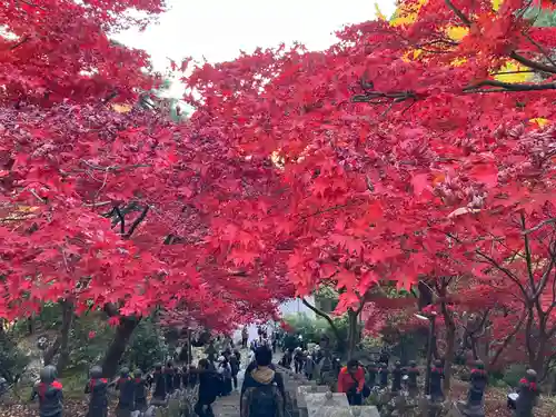 大山寺(神奈川県)