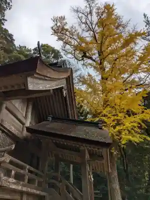 出雲大社(島根県)