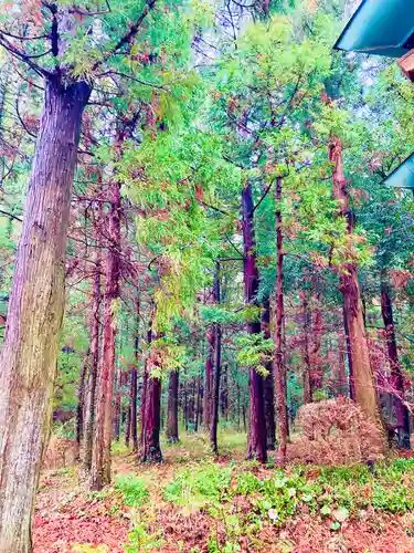 伊保田神社(茨城県)