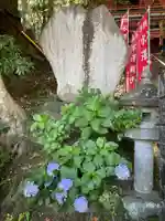 水澤寺(水澤観世音)(群馬県)