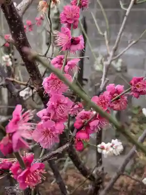 田端神社(東京都)