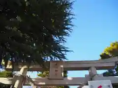 草加神社の鳥居