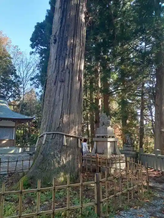 戸隠神社中社(長野県)