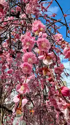 屯倉神社(大阪府)