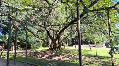 伊佐須美神社(福島県)