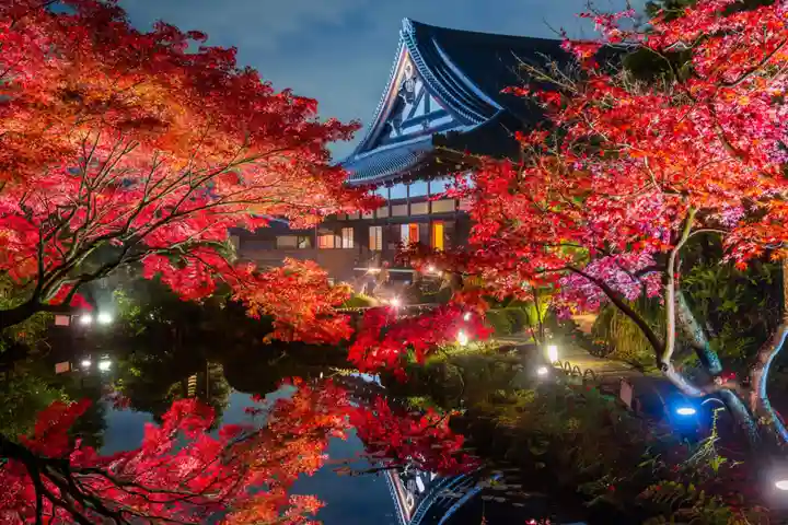 くろ谷 金戒光明寺の本殿・本堂