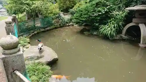 比々多神社の庭園